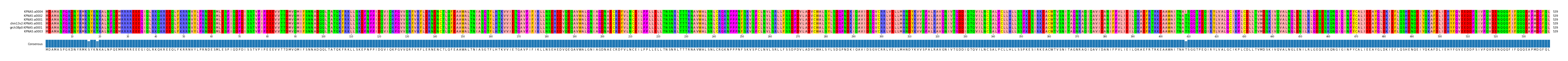Multiple Alignments (by translate haplotype similarity)