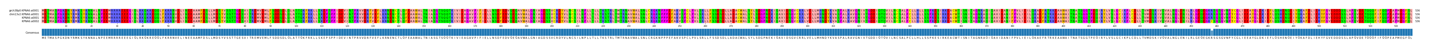Multiple Alignments (by translate haplotype similarity)