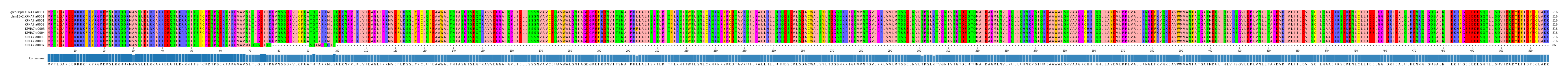Multiple Alignments (by translate haplotype frequency)