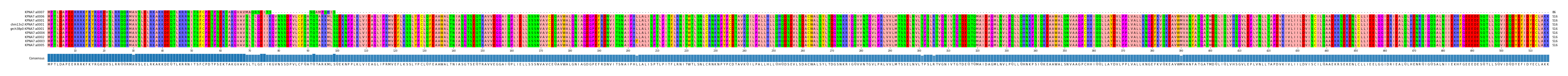 Multiple Alignments (by translate haplotype similarity)