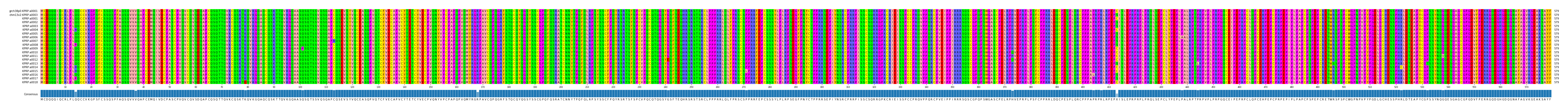 Multiple Alignments (by translate haplotype frequency)