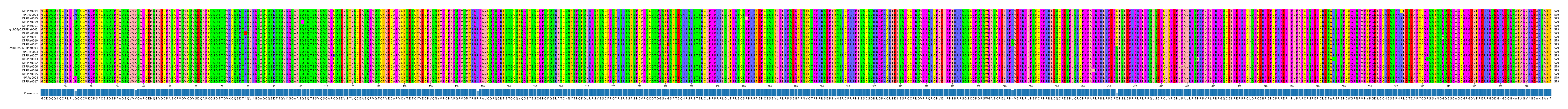 Multiple Alignments (by translate haplotype similarity)