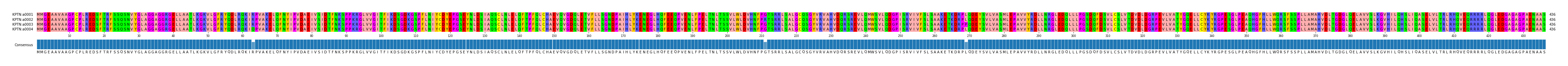 Multiple Alignments (by translate haplotype frequency)