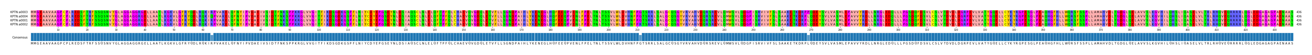 Multiple Alignments (by translate haplotype similarity)
