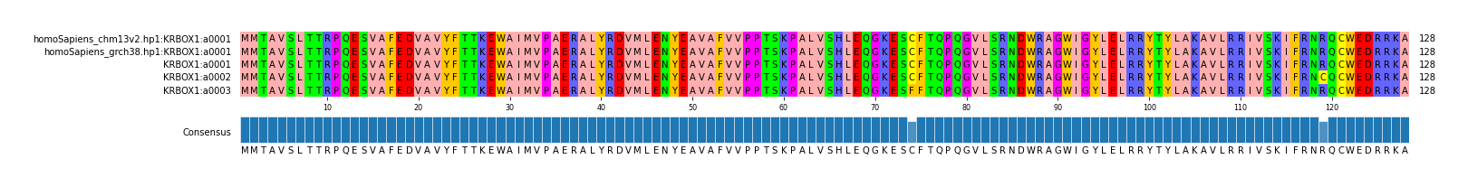 Multiple Alignments (by translate haplotype frequency)