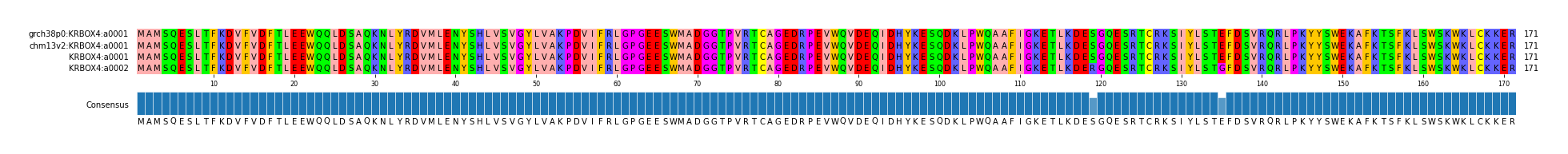 Multiple Alignments (by translate haplotype frequency)