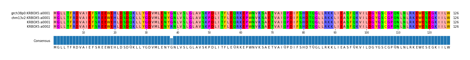 Multiple Alignments (by translate haplotype similarity)