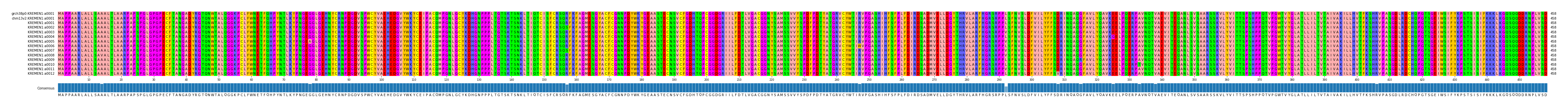 Multiple Alignments (by translate haplotype frequency)