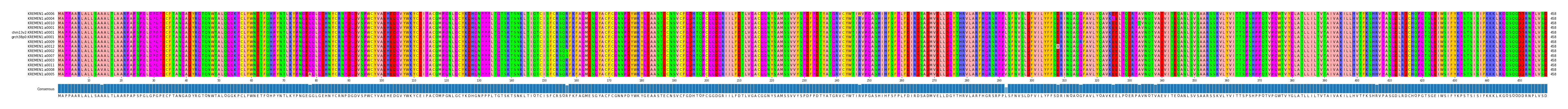 Multiple Alignments (by translate haplotype similarity)