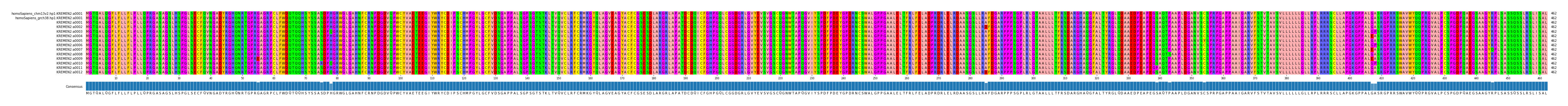 Multiple Alignments (by translate haplotype frequency)