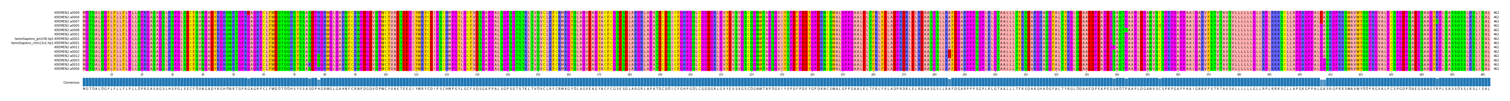 Multiple Alignments (by translate haplotype similarity)
