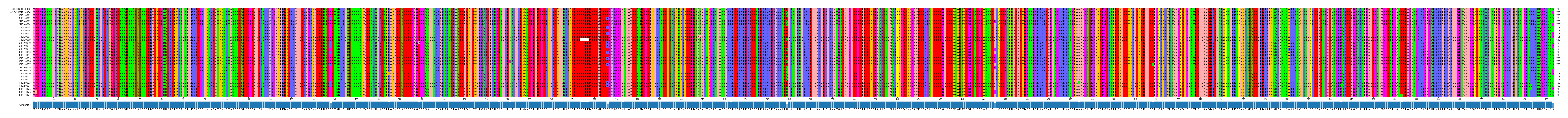 Multiple Alignments (by translate haplotype frequency)