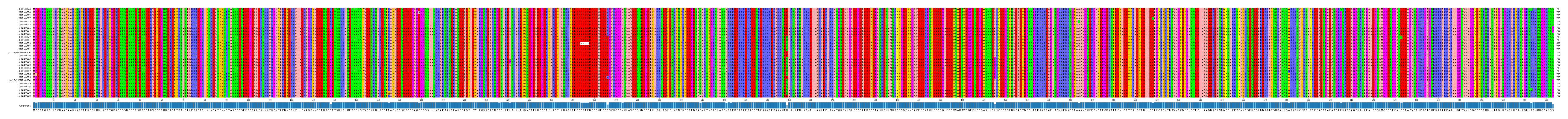Multiple Alignments (by translate haplotype similarity)