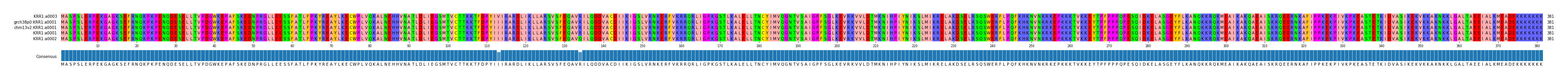 Multiple Alignments (by translate haplotype similarity)