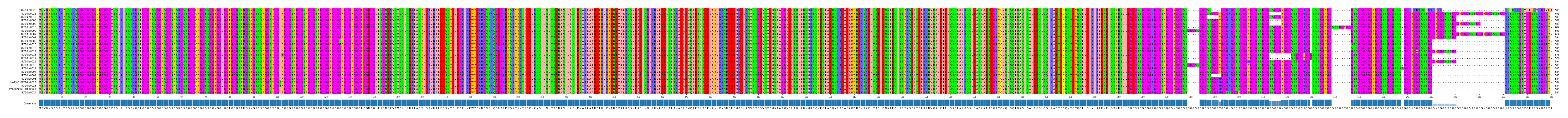 Multiple Alignments (by translate haplotype similarity)