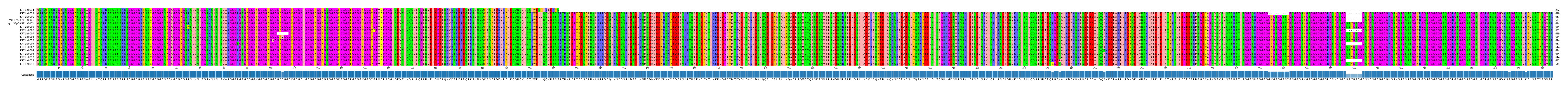 Multiple Alignments (by translate haplotype similarity)