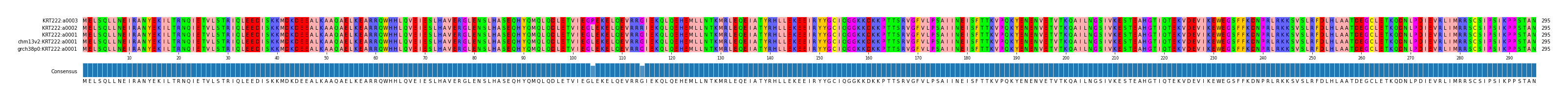 Multiple Alignments (by translate haplotype similarity)