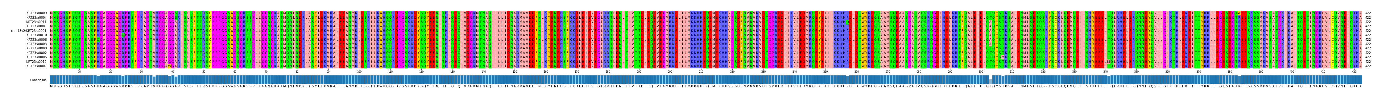 Multiple Alignments (by translate haplotype similarity)