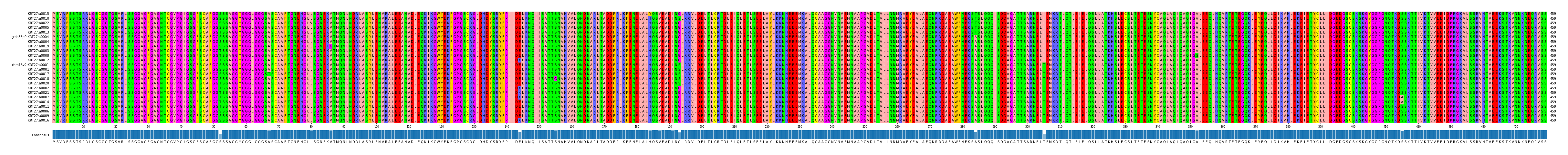 Multiple Alignments (by translate haplotype similarity)