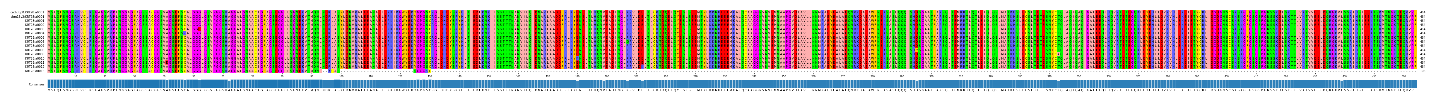 Multiple Alignments (by translate haplotype frequency)