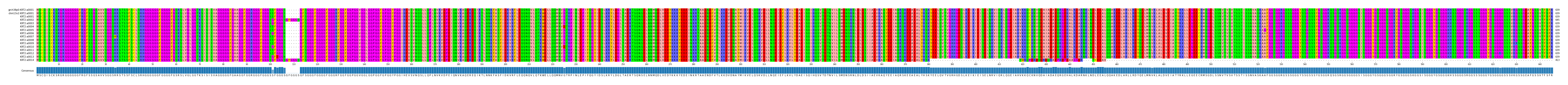 Multiple Alignments (by translate haplotype frequency)