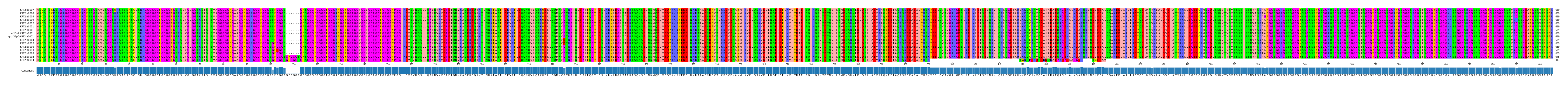 Multiple Alignments (by translate haplotype similarity)