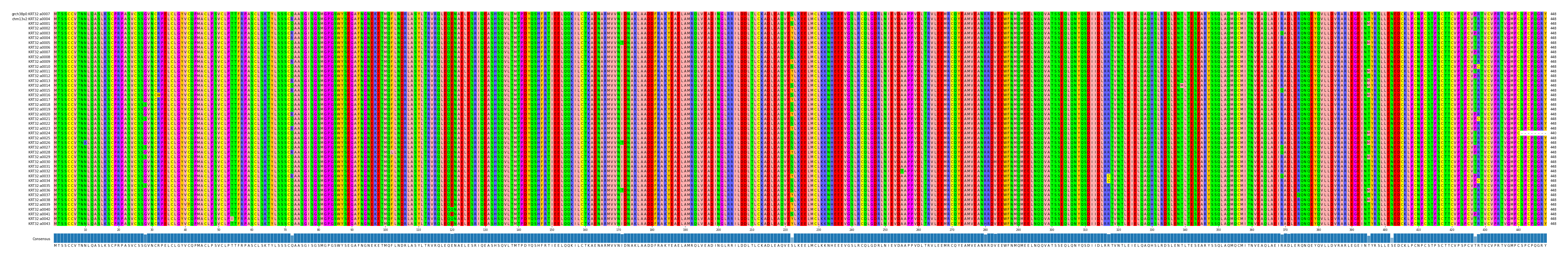 Multiple Alignments (by translate haplotype frequency)