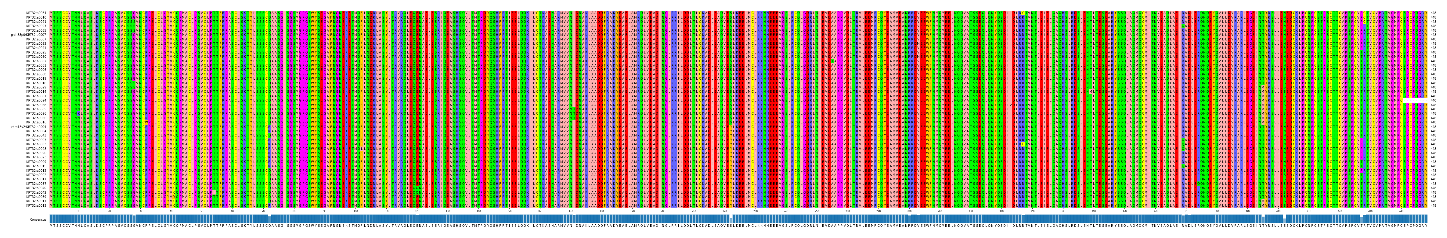 Multiple Alignments (by translate haplotype similarity)