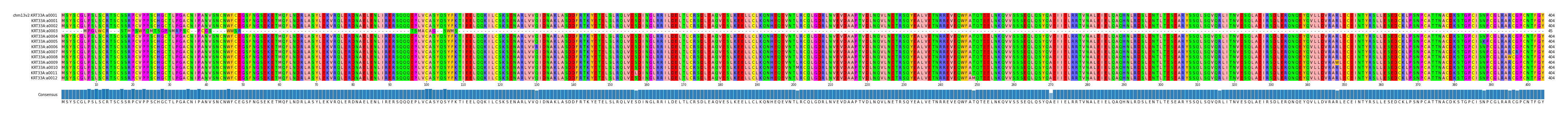 Multiple Alignments (by translate haplotype frequency)