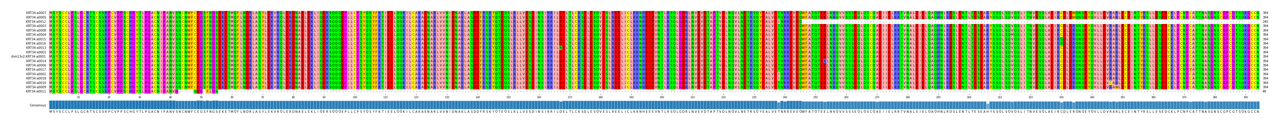Multiple Alignments (by translate haplotype similarity)