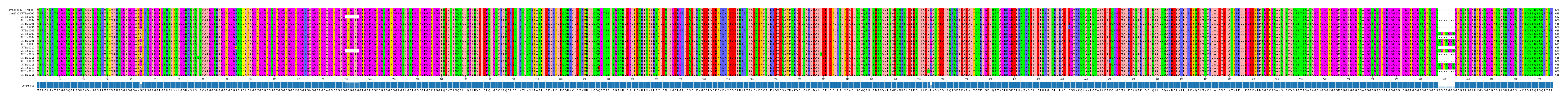 Multiple Alignments (by translate haplotype frequency)