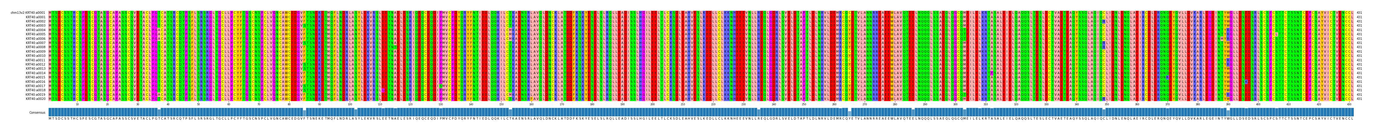 Multiple Alignments (by translate haplotype frequency)