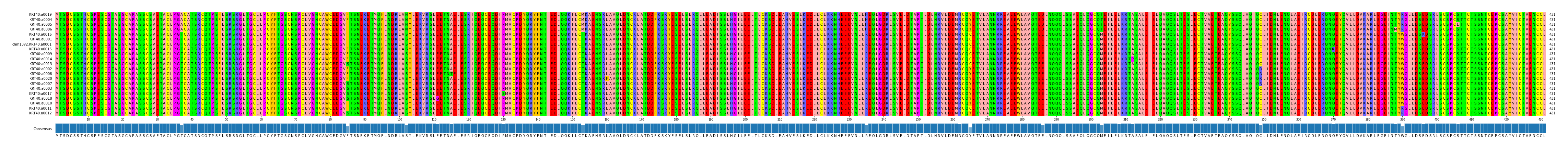 Multiple Alignments (by translate haplotype similarity)