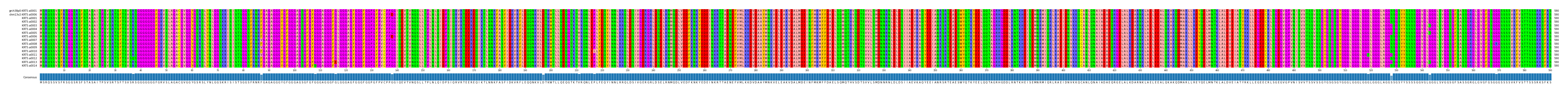 Multiple Alignments (by translate haplotype frequency)