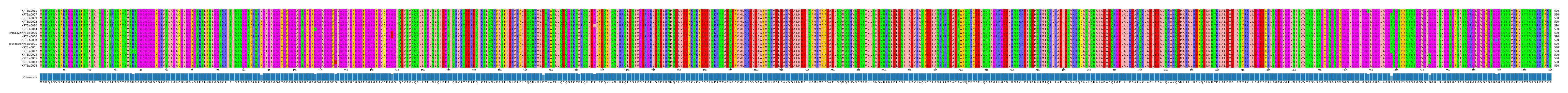 Multiple Alignments (by translate haplotype similarity)