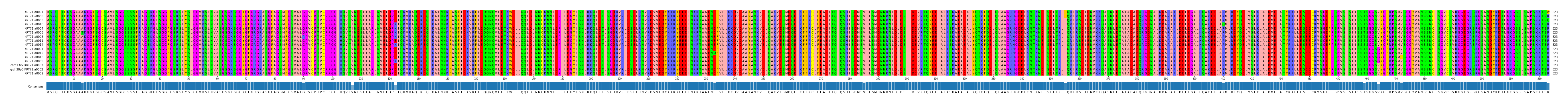 Multiple Alignments (by translate haplotype similarity)