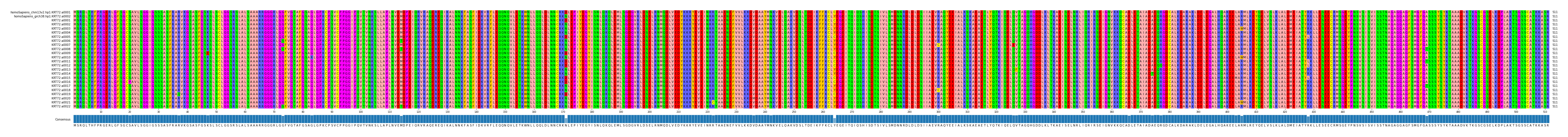 Multiple Alignments (by translate haplotype frequency)