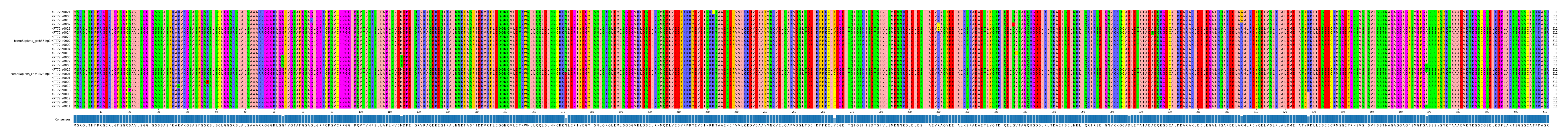 Multiple Alignments (by translate haplotype similarity)
