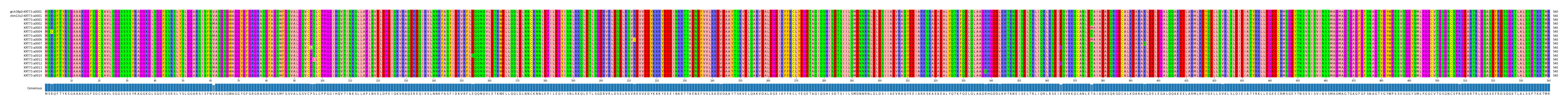 Multiple Alignments (by translate haplotype frequency)