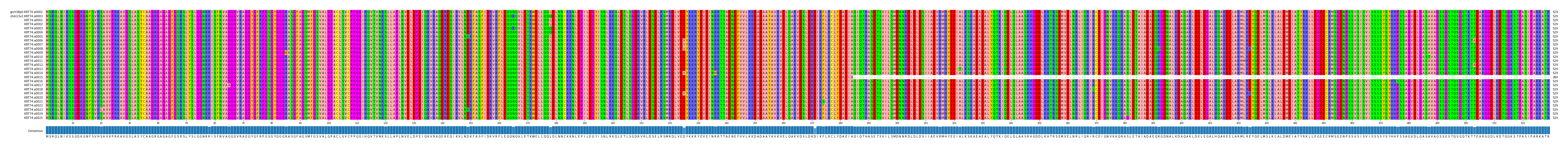 Multiple Alignments (by translate haplotype frequency)