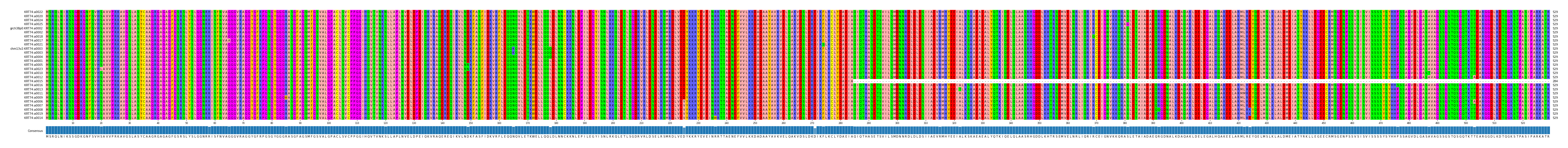 Multiple Alignments (by translate haplotype similarity)