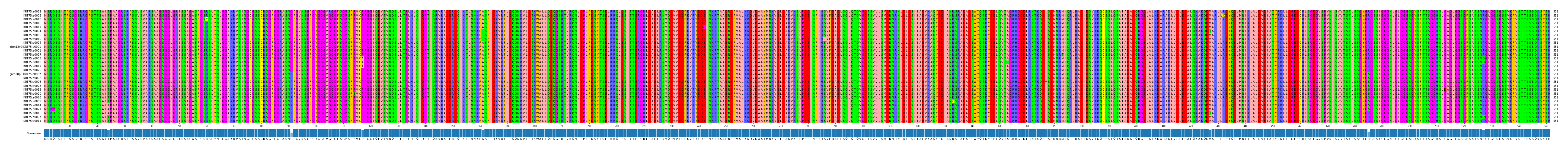 Multiple Alignments (by translate haplotype similarity)