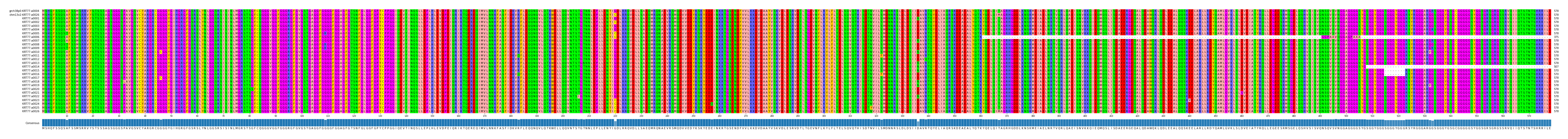 Multiple Alignments (by translate haplotype frequency)