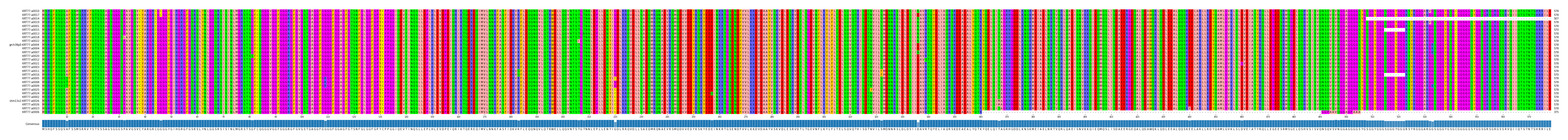 Multiple Alignments (by translate haplotype similarity)