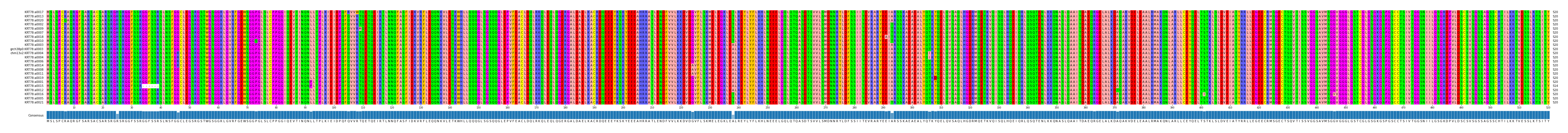 Multiple Alignments (by translate haplotype similarity)
