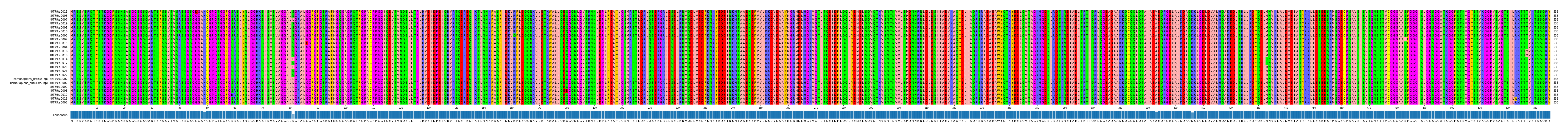 Multiple Alignments (by translate haplotype similarity)