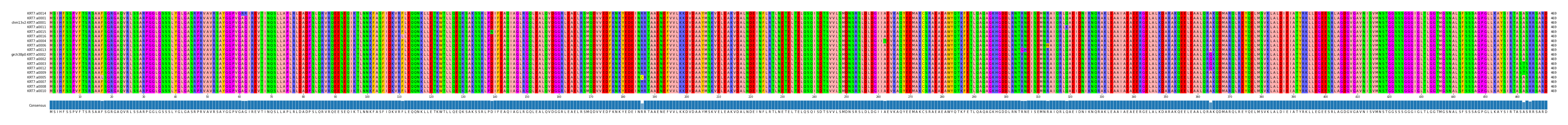 Multiple Alignments (by translate haplotype similarity)