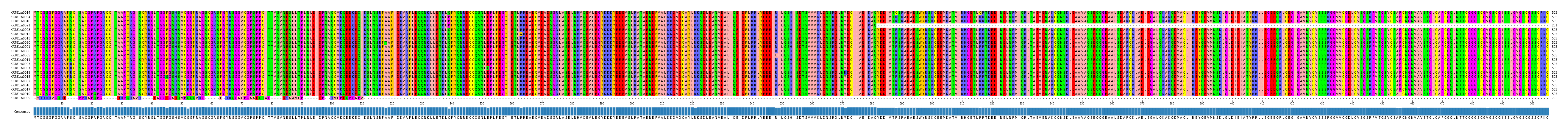 Multiple Alignments (by translate haplotype similarity)