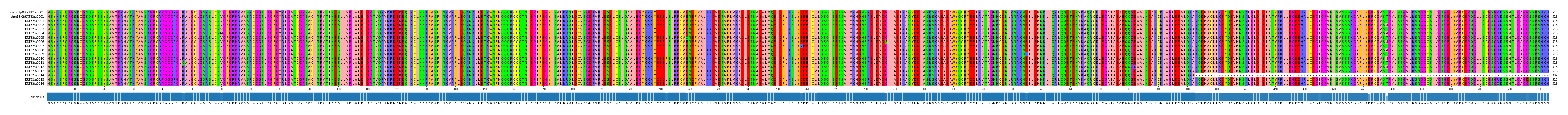 Multiple Alignments (by translate haplotype frequency)