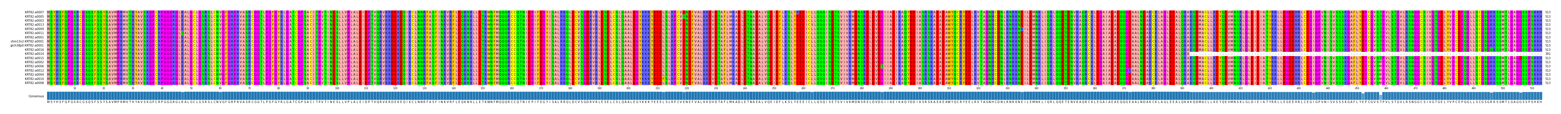 Multiple Alignments (by translate haplotype similarity)
